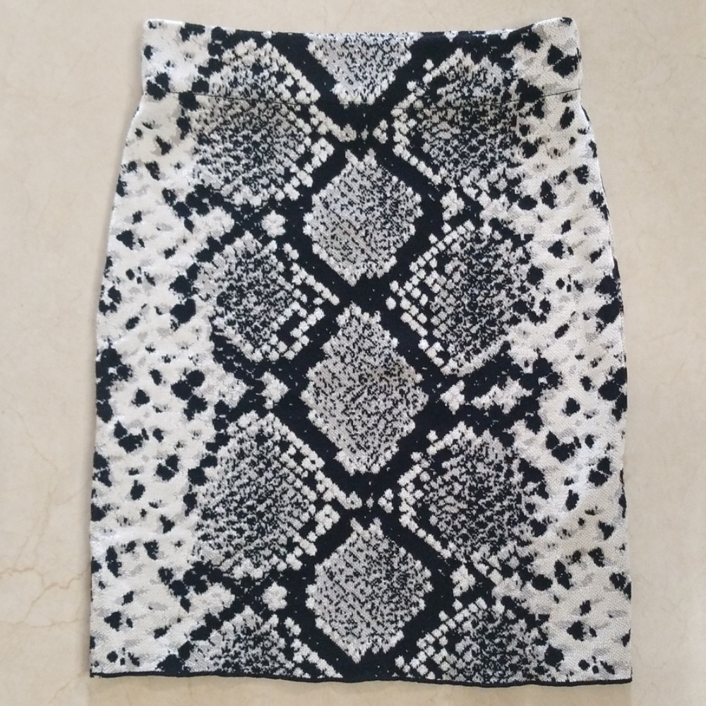 ZARA Animal Print Skirt